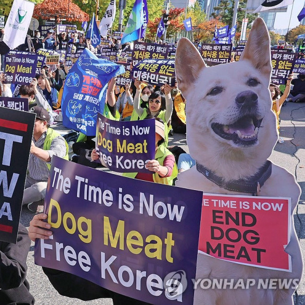 Өмнөд Солонгост нохойн мах хүнсэнд хэрэглэхийг хориглоно